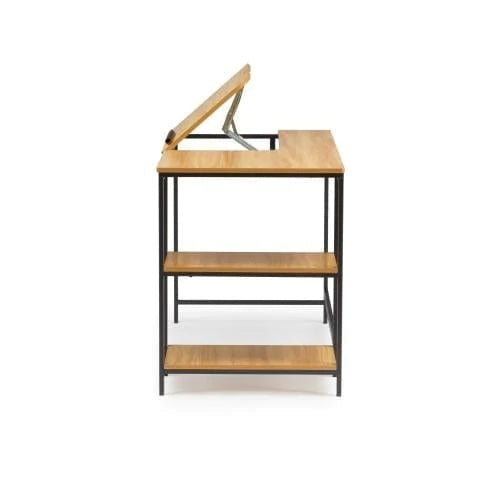 Multi-function Computer Desk with Adjustable Tiltable Stand Board