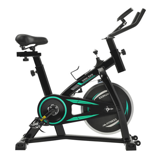 Stationary Indoor Cycling Bike with LCD Monitor, Green