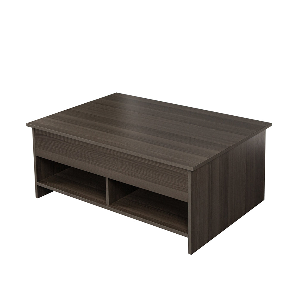 Lift Top Coffee Table with Hidden Compartment and Storage Shelves