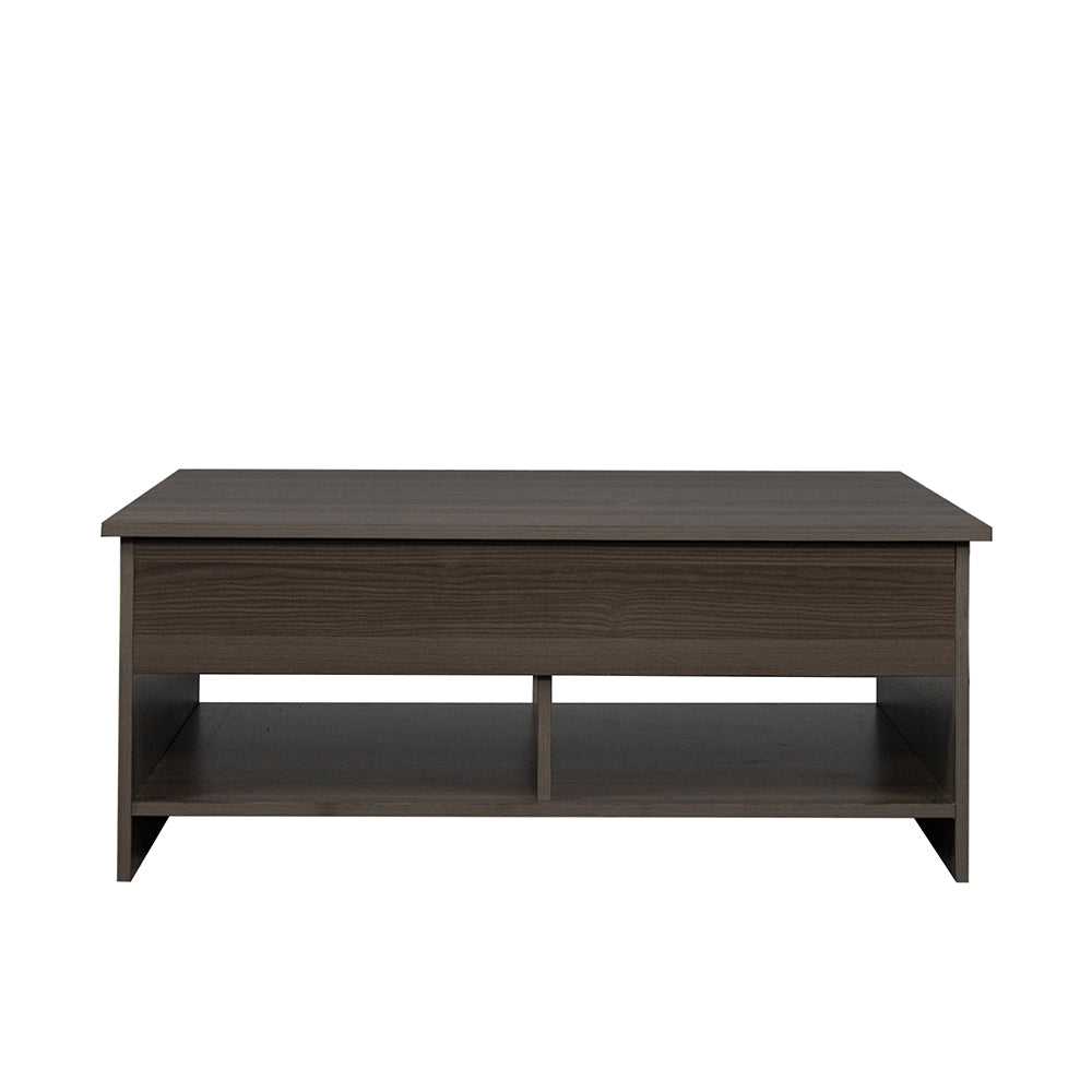 Lift Top Coffee Table with Hidden Compartment and Storage Shelves